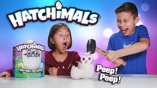 EVAN SMASHED MY HATCHIMALS!!! Surprise Egg - Review & Destroy!