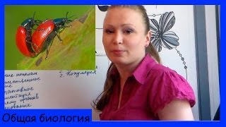 Урок биологии №11. Виды размножения.