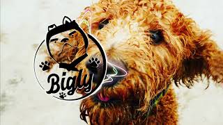Riton & Kah-Lo - Ginger (Lyrics)