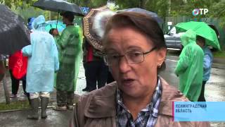 Жители Ленобласти провели митинг против застройки Сиверского леса (ОТР)