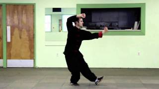 Praying Mantis Kung Fu - 18 Elders