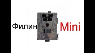 Фотоловушка Филин Mini Видео Обзор Инструкция Пример съемки