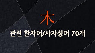 木(나무 목)에 관한 한자어/사자성어 70개