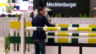 Chacoon Blue-Hengstkollektion 2019 deutsch