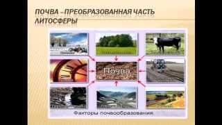 Почвы России урок географии в 8 классе