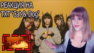 ПОЧЕМУ ЭТО НЕ ДЕБЮТ? РЕАКЦИЯ (REACTION) НА TXT  'Cat & Dog' Official MV
