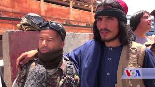 TALIBAN CAEASE FIRE - VOA Ashna