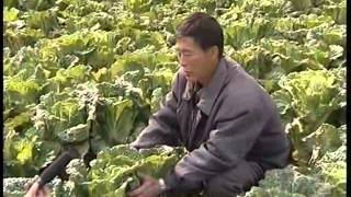 DPRK News - Новости КНДР (06.11.2012)