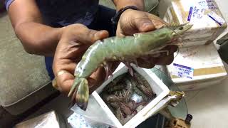 Unboxing live organic BLACK TIGER PRAWN & wild MUD CRAB from www.crabnprawn.com