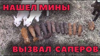 Нашел мины в лесу