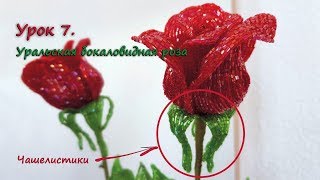 Бокаловидная роза. ? Урок 7 - Чашелистики / Cup-shaped rose. Lesson 7 - Sepals