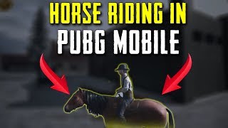 Pubg Mobile update Horse riding, New Maps, Tractor and More added