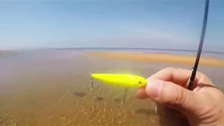Aliexpress - AOCLU Wobblers Super Quality 6 Colors 60mm Fishing Lure