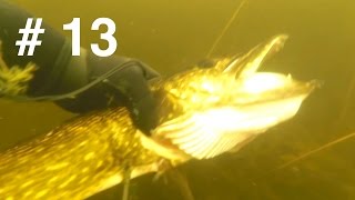 Подводная охота, новое озеро | Охота на щуку и САПОГ )