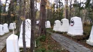 "МгимО" - Мир ГлазамИ МОнчегорца - Патриотическая акция “Я помню, я горжусь!”