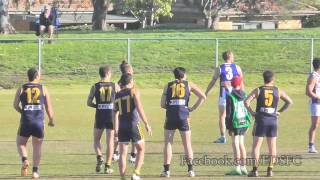 StarsTV: (Round 9) Stars send a Roo-de awakening