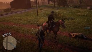 Red Dead Redemption 2 online invisible body