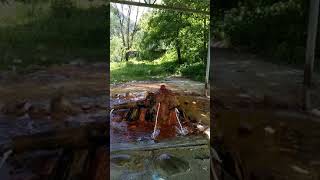 ИСТОЧНИК МИН.ВОДЫ "БАГИАТА" (ЮЖНАЯ ОСЕТИЯ)