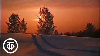 Лес (1985)