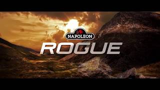 Презентация газовых грилей Napoleon серии Rogue
