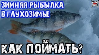 Когда плохо клюет ОКУНЬ. Зимняя рыбалка в глухозимье. Уловистая мормышка на окуня