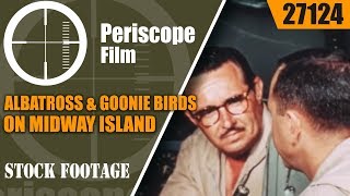 ALBATROSS & GOONIE BIRDS ON MIDWAY ISLAND   " THE SECOND BATTLE OF MIDWAY " 27124