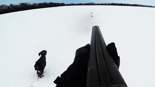 Вытропленный заяц и кадры полета дроби - Охота на зайца / Hare hunting