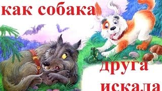 2013 . Как собака друга искала  ( АУДИО СКАЗКА )