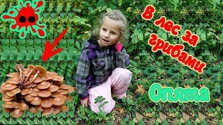 Жизнь незрячей девочки. Поехали в лес за грибами. А вы знаете как собирать грибы вслепую?