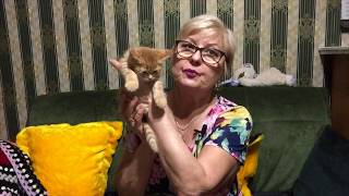 256.Казань.Новый член семьи и новая кофта