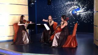 Музыка на свадьбу, струнное трио(скрипки и виолончель)