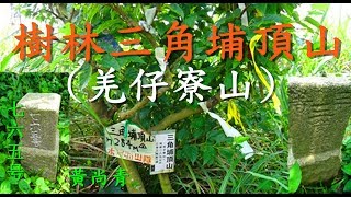 新北市樹林三角埔頂山~三等三角點765號基石-健行踏青身體好 !★4K