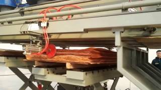 BSY 8ft spindless veneer peeling line