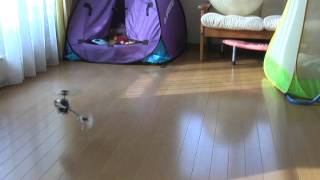 ＨＩＲＯＢＯ　SRB　Ｑｕａｒｋ 　ヒロボー　クオーク