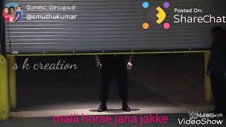 Tamil Nadu horse cart Rees mailaduthurai horse jana