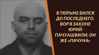 Бился до последнего. Вор в законе Юрий Пачуашвили, он же «Пачуна»