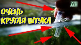 Автоматический сифон для нано аквариума своими руками! Пригодится каждому аквариумисту!