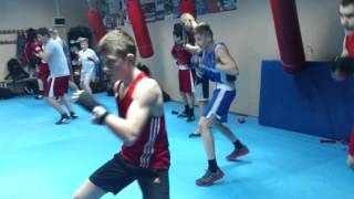 Бокс в Островцах группа 19.00