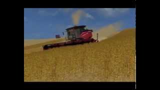 LS09 Landwirtschafts simulator 2009 Case 8010 Harvester