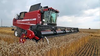 ПАЛЕССЕ GS2124: уборка высокоурожайных хлебов