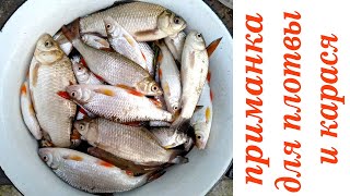 Отличная приманка для плотвы и карася. Вечерняя рыбалка