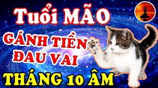 Tuổi MÃO Tháng 10 Âm Lịch SỰ NGHIỆP THĂNG TIẾN, TÀI LỘC THĂNG HOA Đổi Đời Từ Đây
