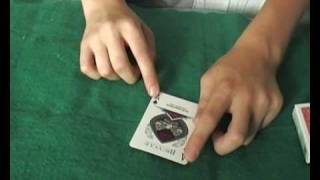 Shape Shifter Tutorial