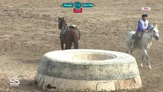 Көк бөрү 2018  Толкун -Сын таш
