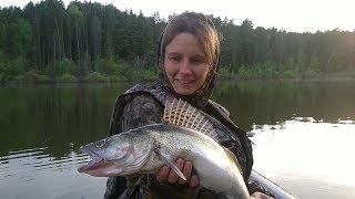 Рыбалка.Судаки на перемёт,перетягу,с лодки ПВХ. Zander fishinq.