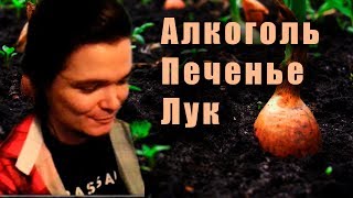 Убермаргинал об алкоголе, продаже печенья, переезде и др.
