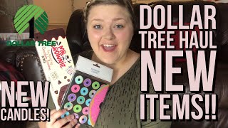 Dollar Tree Haul! NEW Items! February 2019!