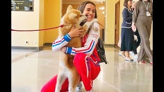 Масару-сан шагает по Москве! Alina Zagitova и Акита-ину