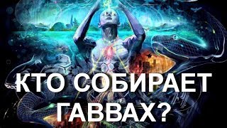Кто и для чего собирает Гаввах 6000 лет? (16.02.19)