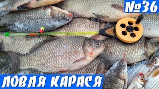 Ловля Карася со льда. Первый лед 2018. Карась на поплавок зимой.